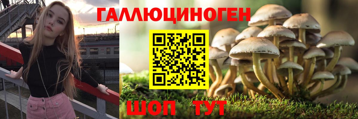 Галлюциногенные грибы Cubensis Тамбов