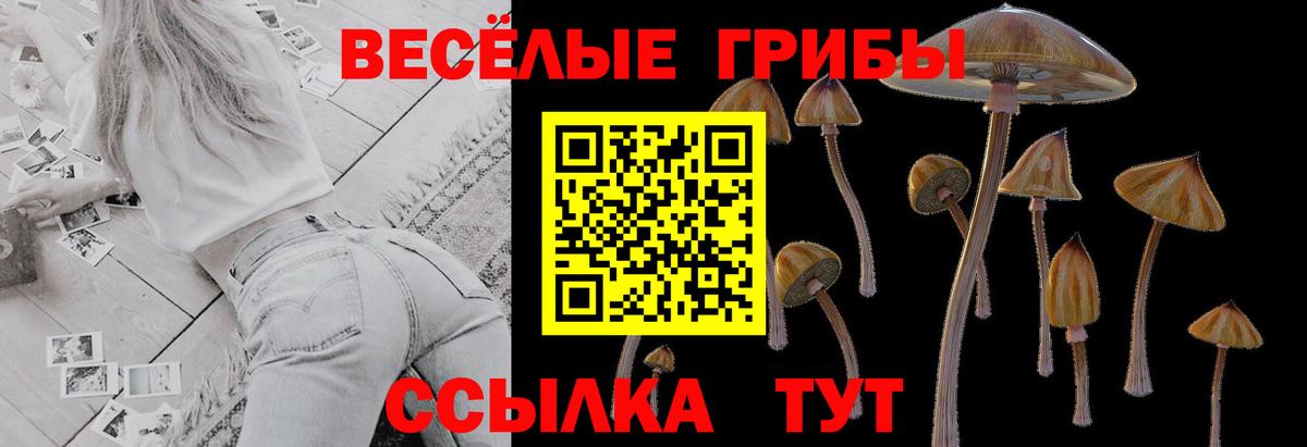 Галлюциногенные грибы мухоморы  Вход с VPN  Тамбов 